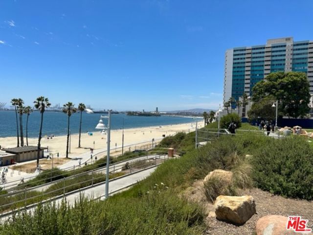 1025 Locust Avenue 2, Long Beach, CA 90813