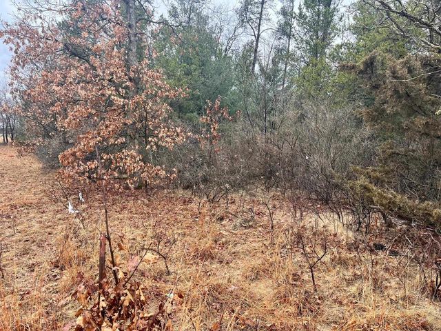 5.99 Ac State Road 13, Friendship, WI 53934