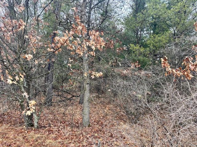 5.99 Ac State Road 13, Friendship, WI 53934
