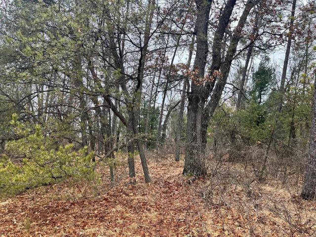 5.99 Ac State Road 13, Friendship, WI 53934