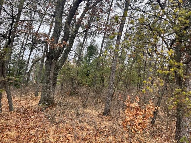 5.99 Ac State Road 13, Friendship, WI 53934