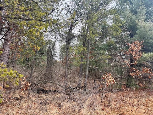 5.99 Ac State Road 13, Friendship, WI 53934