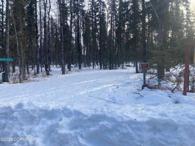 51201 Beaver Brook Road, Kasilof, AK 99610