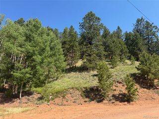 281 Pikes Peak Drive, Divide, CO 80814