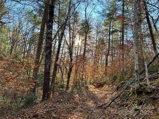 0 Polk County Line Road, Rutherfordton, NC 28139