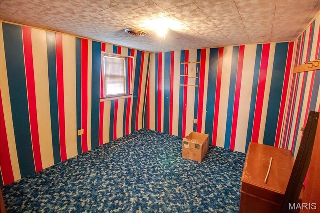 168 SE 450 Avenue, Carrollton, IL 62016