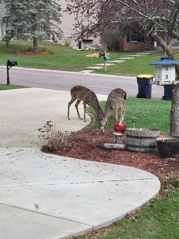 13529 Gossamer Way, Apple Valley, MN 55124