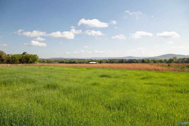 16.6 Acres Dug Hill Road, Brownsboro, AL 35741