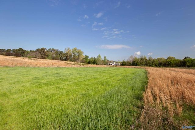 16.6 Acres Dug Hill Road, Brownsboro, AL 35741