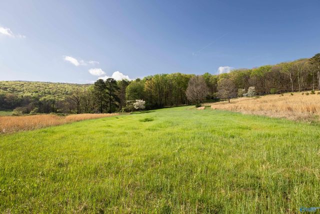 16.6 Acres Dug Hill Road, Brownsboro, AL 35741