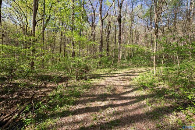 16.6 Acres Dug Hill Road, Brownsboro, AL 35741