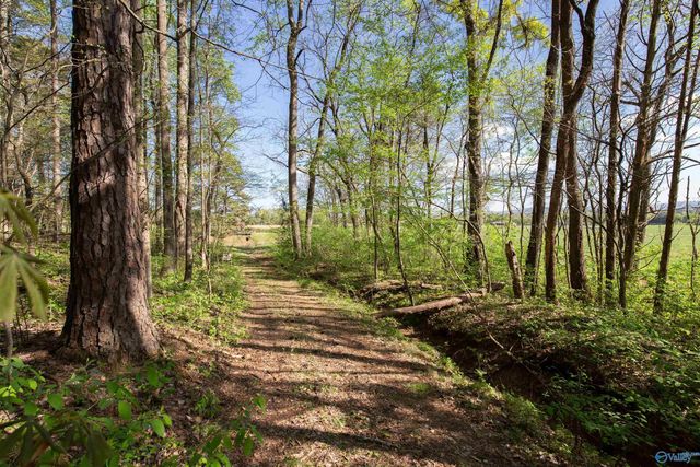 16.6 Acres Dug Hill Road, Brownsboro, AL 35741