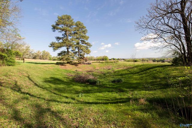 16.6 Acres Dug Hill Road, Brownsboro, AL 35741