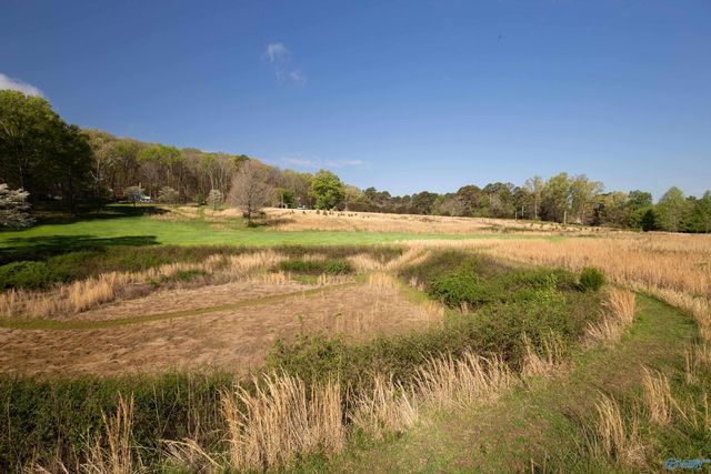 16.6 Acres Dug Hill Road, Brownsboro, AL 35741