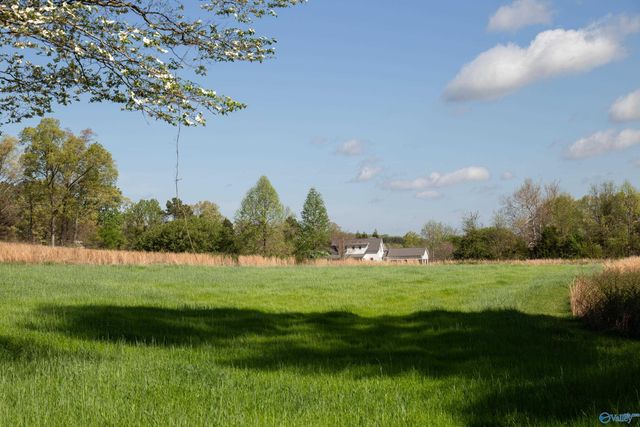 16.6 Acres Dug Hill Road, Brownsboro, AL 35741