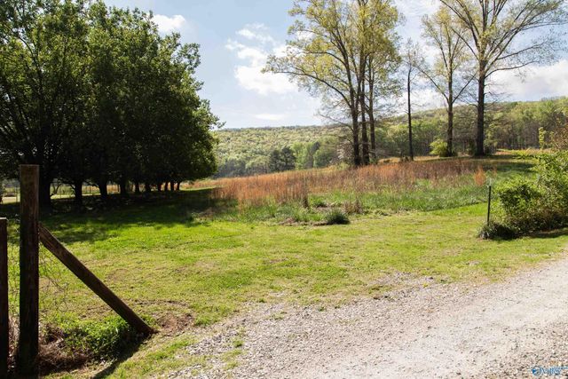 16.6 Acres Dug Hill Road, Brownsboro, AL 35741