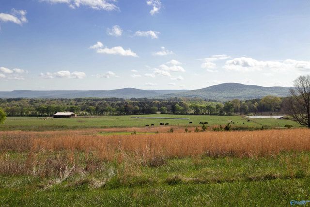16.6 Acres Dug Hill Road, Brownsboro, AL 35741