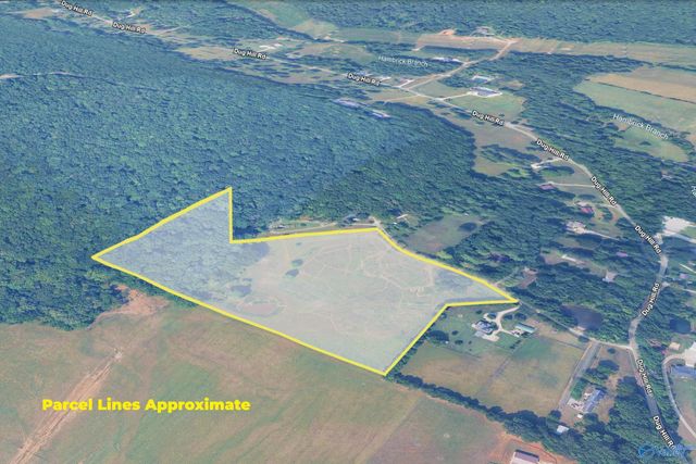 16.6 Acres Dug Hill Road, Brownsboro, AL 35741