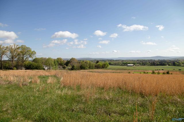 16.6 Acres Dug Hill Road, Brownsboro, AL 35741