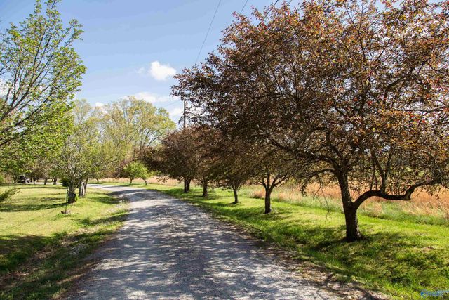 16.6 Acres Dug Hill Road, Brownsboro, AL 35741