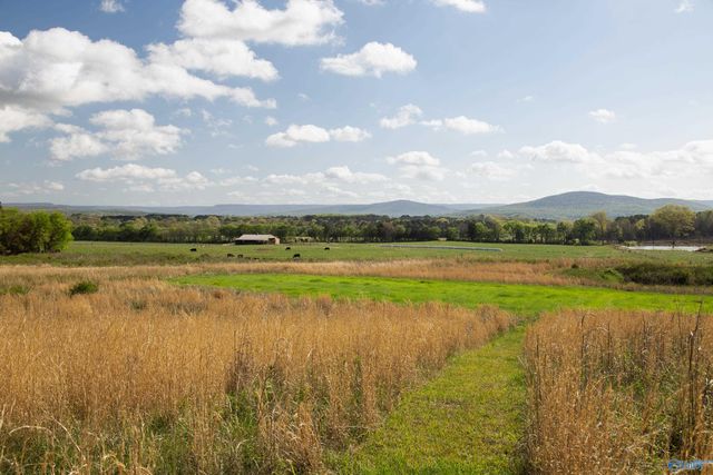 16.6 Acres Dug Hill Road, Brownsboro, AL 35741