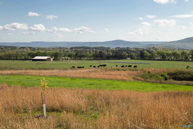 16.6 Acres Dug Hill Road, Brownsboro, AL 35741