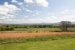 16.6 Acres Dug Hill Road, Brownsboro, AL 35741