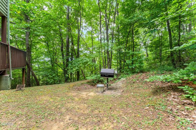 1658 Zurich Rd Road, Gatlinburg, TN 37738