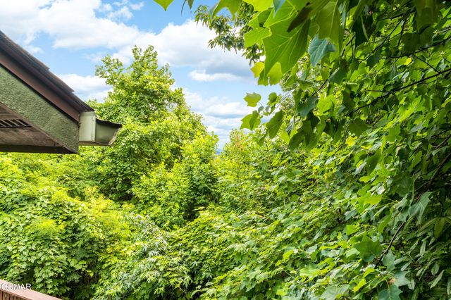 1658 Zurich Rd Road, Gatlinburg, TN 37738