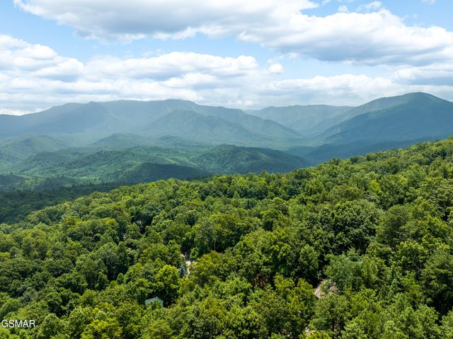 1658 Zurich Rd Road, Gatlinburg, TN 37738