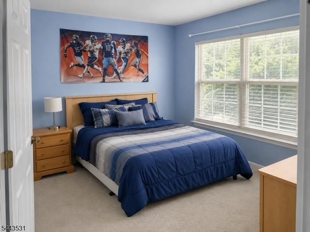 22 Village Square Dr, Union Twp., NJ 08802