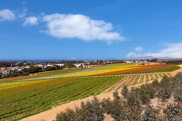 2531 Delphinium Lane, Carlsbad, CA 92008