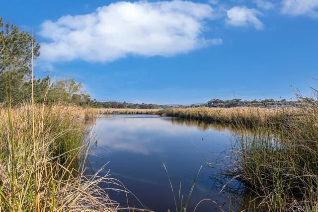 2531 Delphinium Lane, Carlsbad, CA 92008