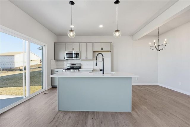 20529 Newcastle Street, Spring Hill, KS 66083