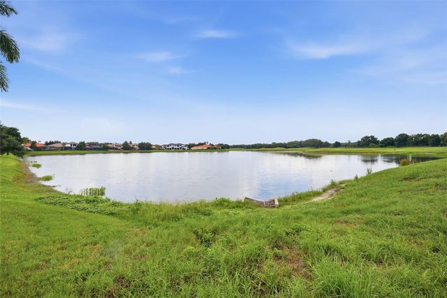 10341 ALTRARA WAY, Trinity, FL 34655