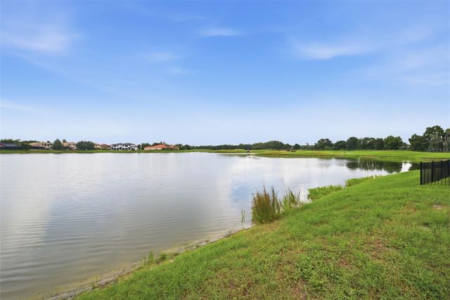 10341 ALTRARA WAY, Trinity, FL 34655