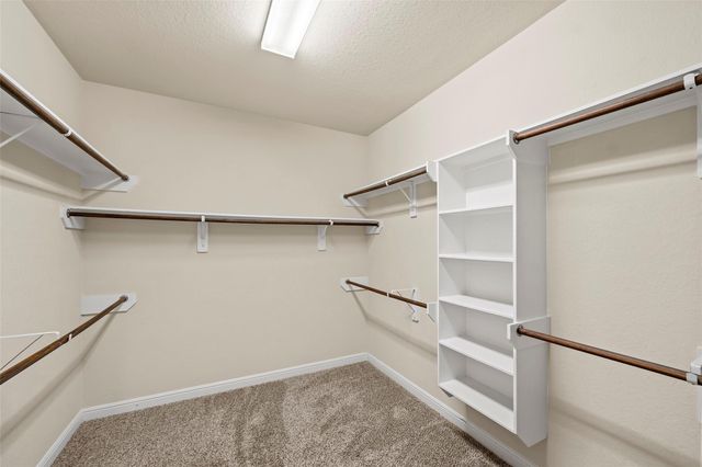 2703 Barrington Branch Drive, Spring, TX 77373