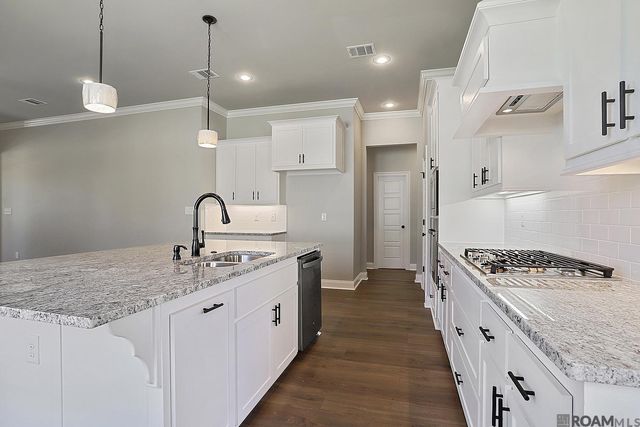 12097 Clare Ct, Geismar, LA 70734