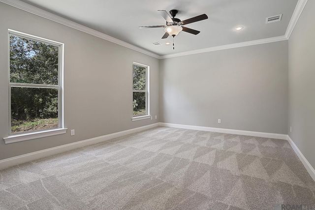 12097 Clare Ct, Geismar, LA 70734