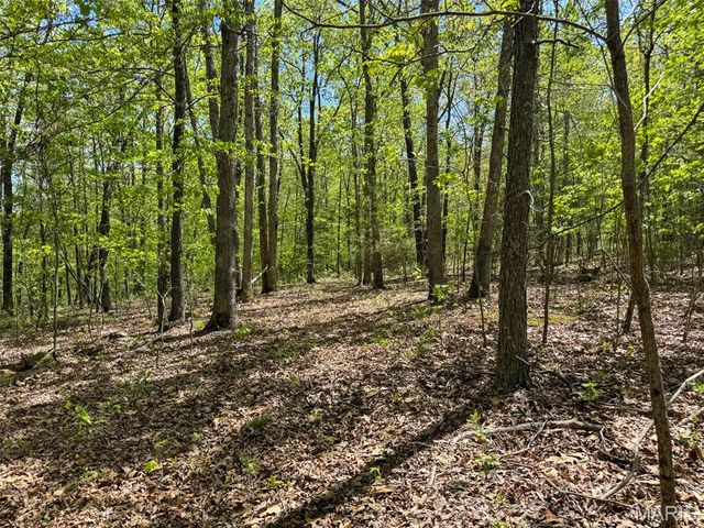 2551 Yellow Rock Road, De Soto, MO 63020
