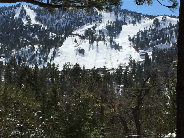 845 Menlo, Big Bear Lake, CA 92315