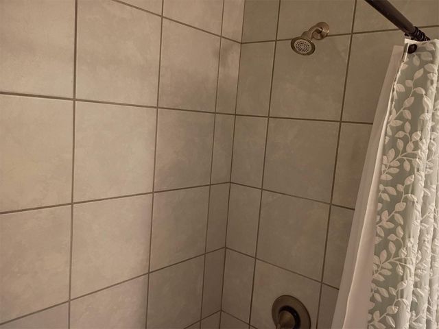 203 SW SILVER PALM DRIVE, Lake City, FL 32024