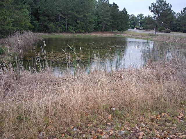 203 SW SILVER PALM DRIVE, Lake City, FL 32024