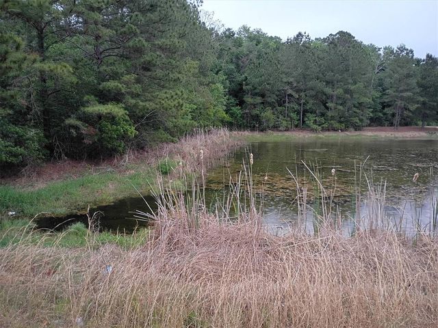203 SW SILVER PALM DRIVE, Lake City, FL 32024