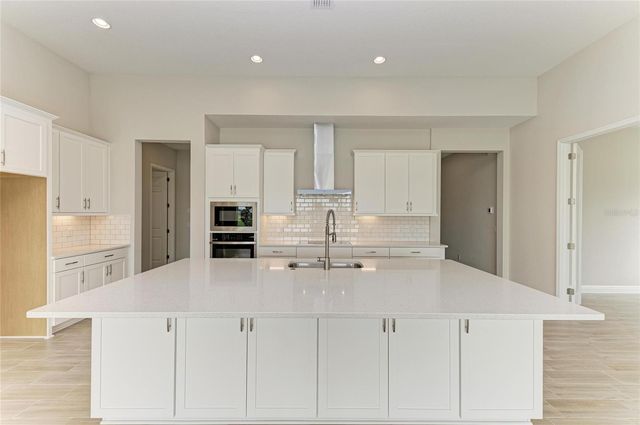 9592 SURREY ROSE DRIVE, San Antonio, FL 33576