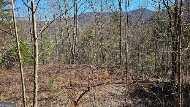 0 Saddleback Circle, Sky Valley, GA 30537