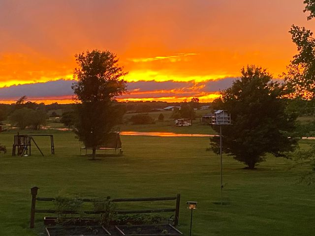 165 Brown Swiss Drive, Billings, MO 65610