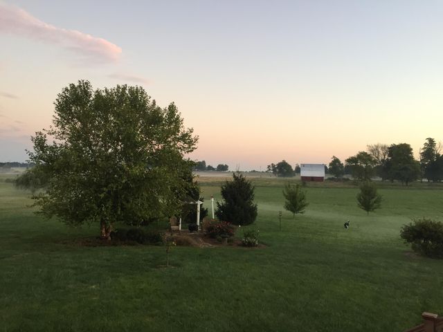 165 Brown Swiss Drive, Billings, MO 65610