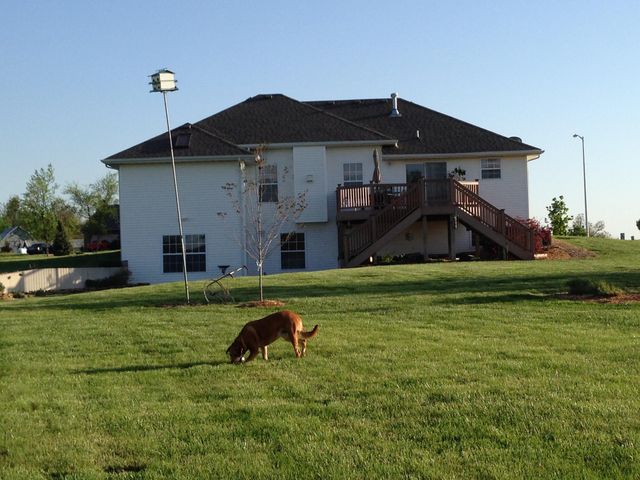 165 Brown Swiss Drive, Billings, MO 65610