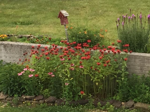 165 Brown Swiss Drive, Billings, MO 65610